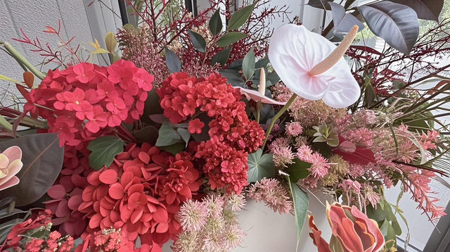 豪泽希芮迪｜每一帧都是藝術的回響。