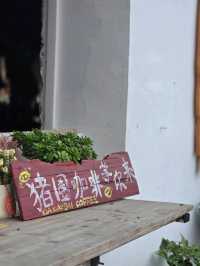廣東雲浮下白村✨️廢棄🐷豬圈改造的網紅咖啡屋☕