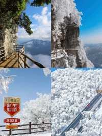 六月係旅遊旺季，熱門景點人逼人、住宿價格飆升。