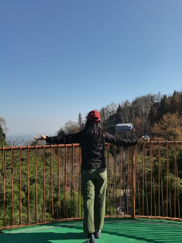 上海一日往返莫干山徒步～～打卡天然氧吧