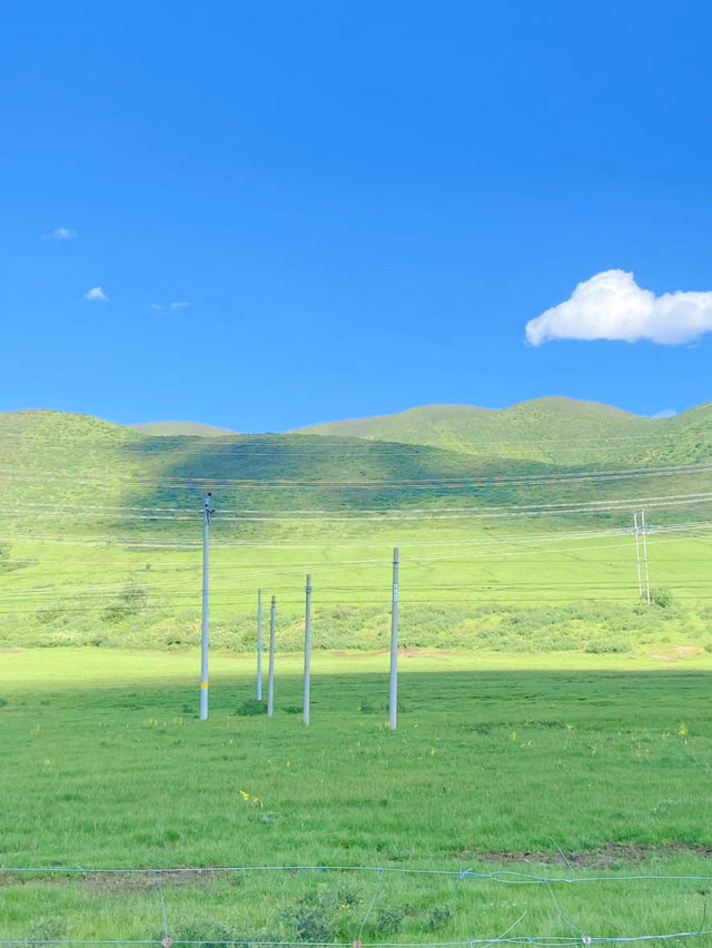川西｜關於草原嘅夏日瞬間（隨機附錄我嘅寶藏自駕三日攻略路線）