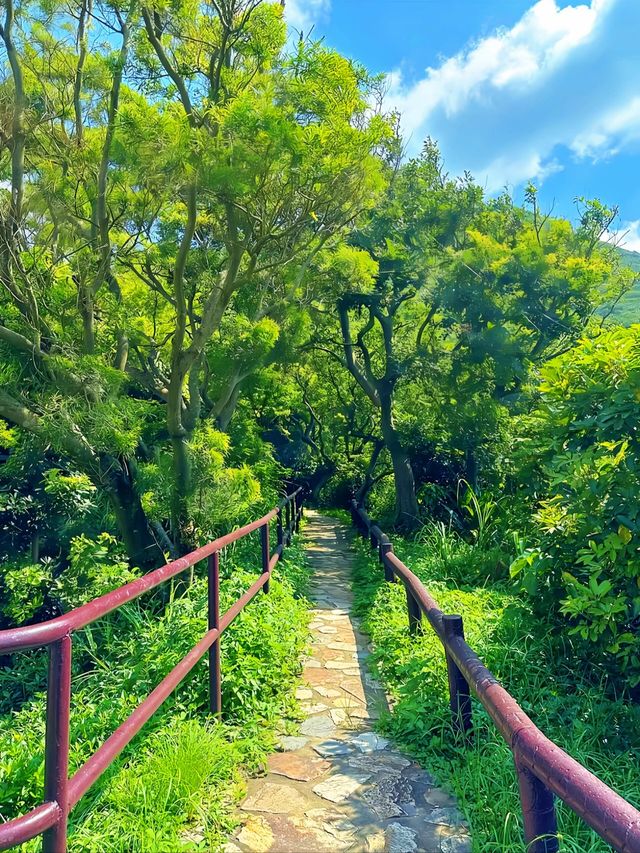 國際大都會