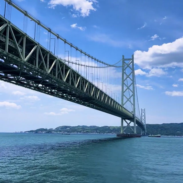 🌊炸裂！大阪臨空城驚現果凍海，關西機場旁的視覺暴擊