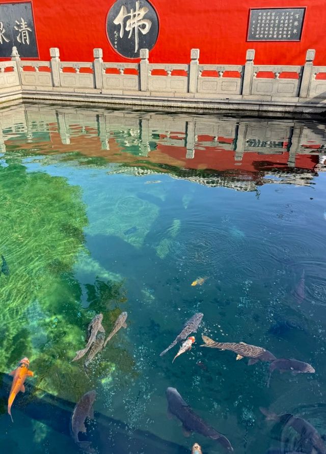 邂逅明水古城，解鎖詩意與煙火
