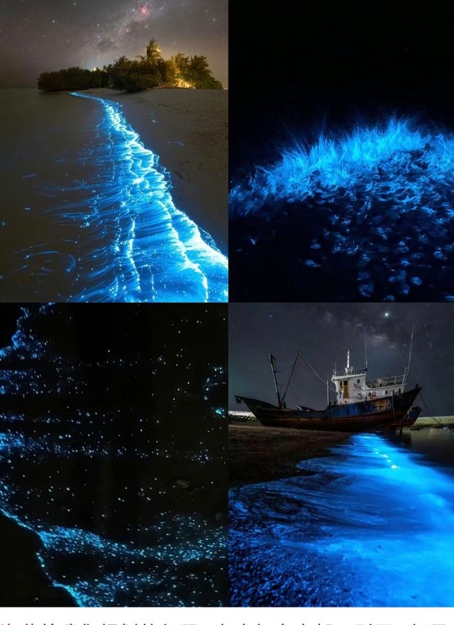 平潭島攻略：追藍眼淚·住石頭厝·食海鮮盛宴