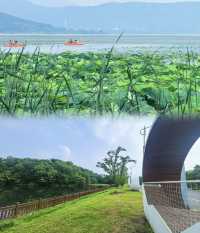 逃離高溫！墜入蘇州太湖畔夢幻避暑莊園