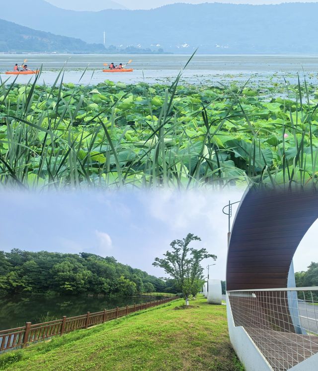 逃離高溫！墜入蘇州太湖畔夢幻避暑莊園