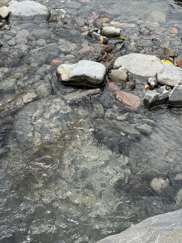 玻璃水直播|成都避暑玩水秘景