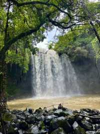 A Hidden Treasure in Hainan!🌿