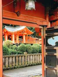 【東京の隠れ家スポット：根津神社で春の杜鵑花に癒されよう】*