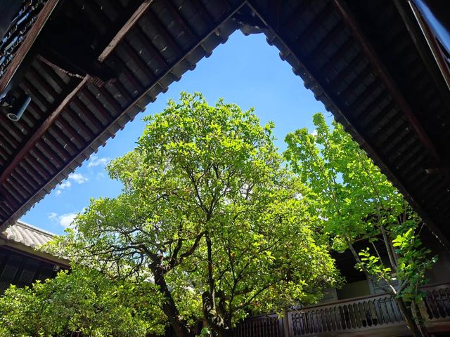 會澤古城 | 一座會呼吸的老宅時光