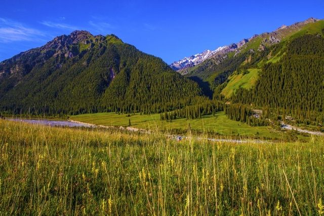 夏塔旅遊攻略 | 赴一場雪山之約