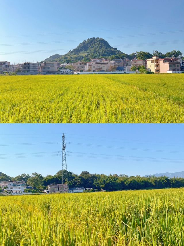 粵北呢個小鎮真係好有煙火氣