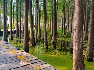 Visited Xuzhou Yunlong Lake Scenic Area 4 times, finally figured it out!
