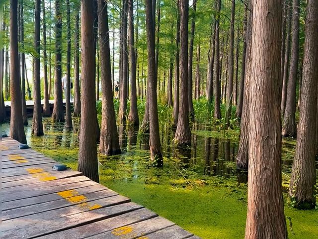 去了4次徐州雲龍湖風景區，終於玩明白了！