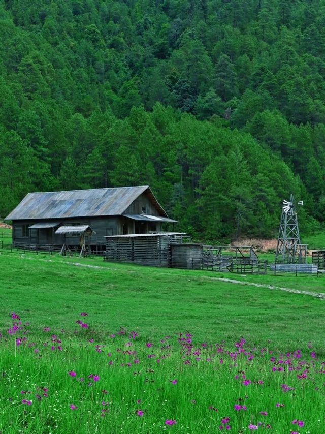 大理天燈海坪