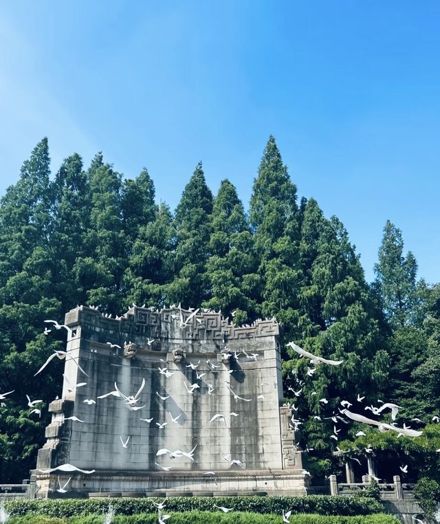 櫻花季必打卡雞鳴寺