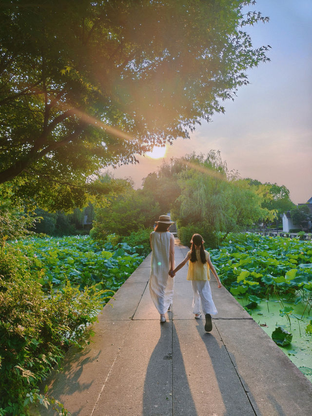 藏院的夏日浪漫