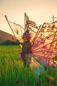 【審美提升】即將消失嘅神鳥舞！！！！