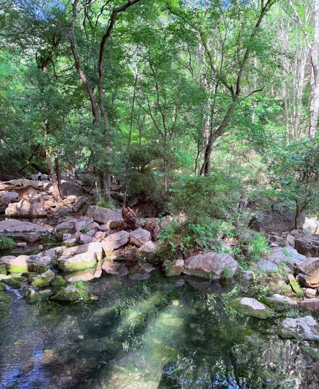 大口國家森林公園  文峰公園：森林秘境與千年文脈嘅碰撞