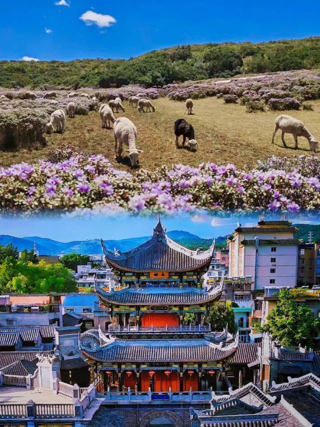 西昌十二時辰：從邛海日出到火把狂歡