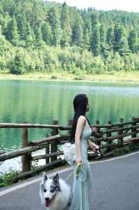 武陵山22℃避暑攻略