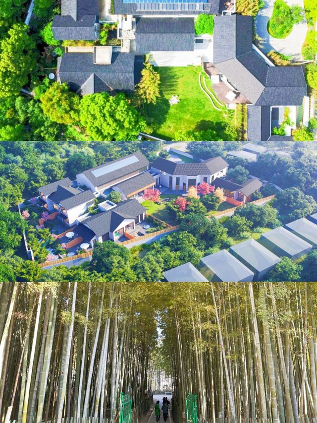 各位親友，蘇州樹山呢間酒店真係正到爆！