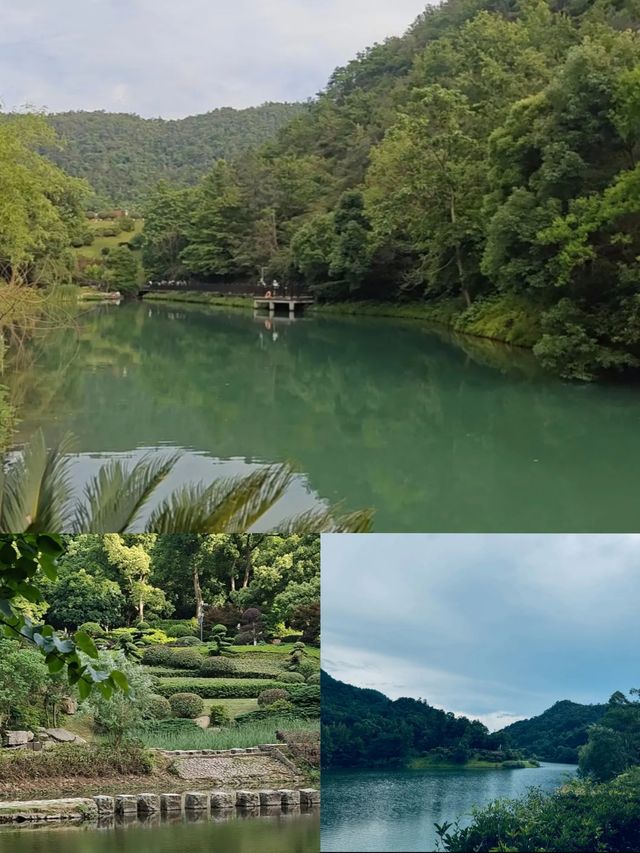 【長沙人私藏！呢條行山路線全程樹蔭+水庫遮太陽