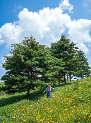 무한 고속철로 2시간, 21℃의 여름 초원에서 피서하기