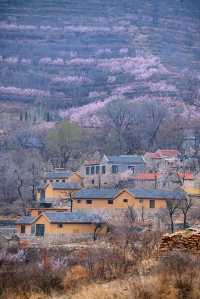 泉城後花園秘境