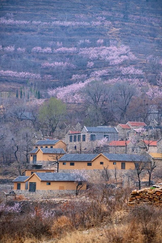 泉城後花園秘境 泉城後花園秘境