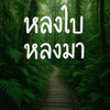 หลงไปหลงมา