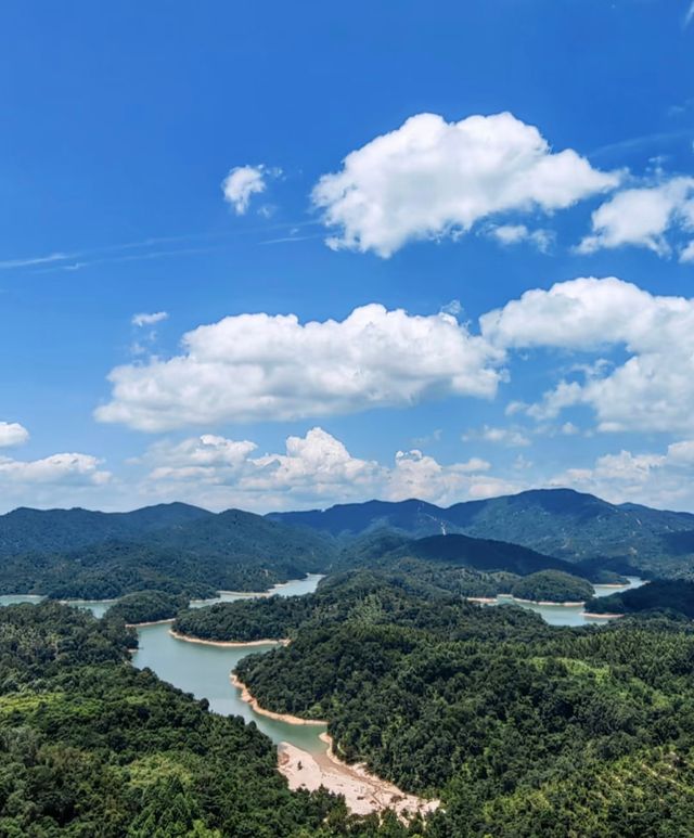 隱於都市的綠野仙蹤，全家週末治癒之旅