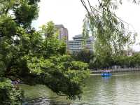 昆明靈魂的後花園——翠湖公園