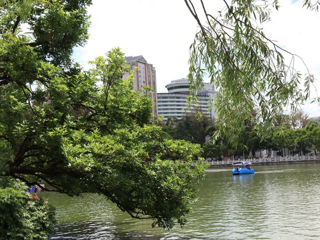 昆明靈魂的後花園——翠湖公園