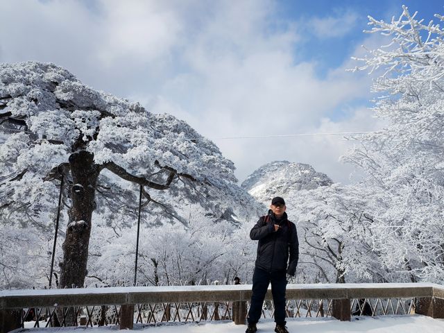 黃山冬日仙境！保姆級雪景攻略+冷門機位大公開 杭州出發2h直達！黃山雪景封神了家人們！ 