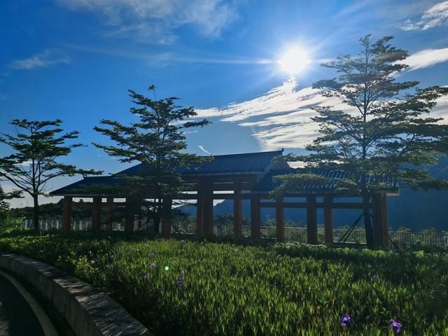 深圳梅沙尖日出震撼體驗|凌晨摸黑登山太值得了! 深圳梅沙尖日出震撼體驗|凌晨摸黑登山太值得了!