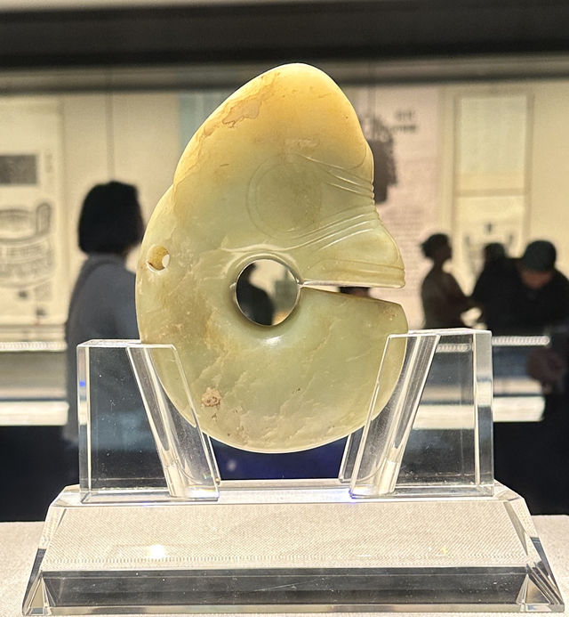 去了這麼多次天津，終於來博物館了