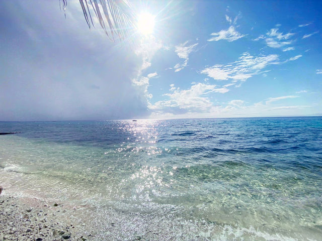 🌊 宿霧｜與鯨鯊共游的那片湛藍記憶