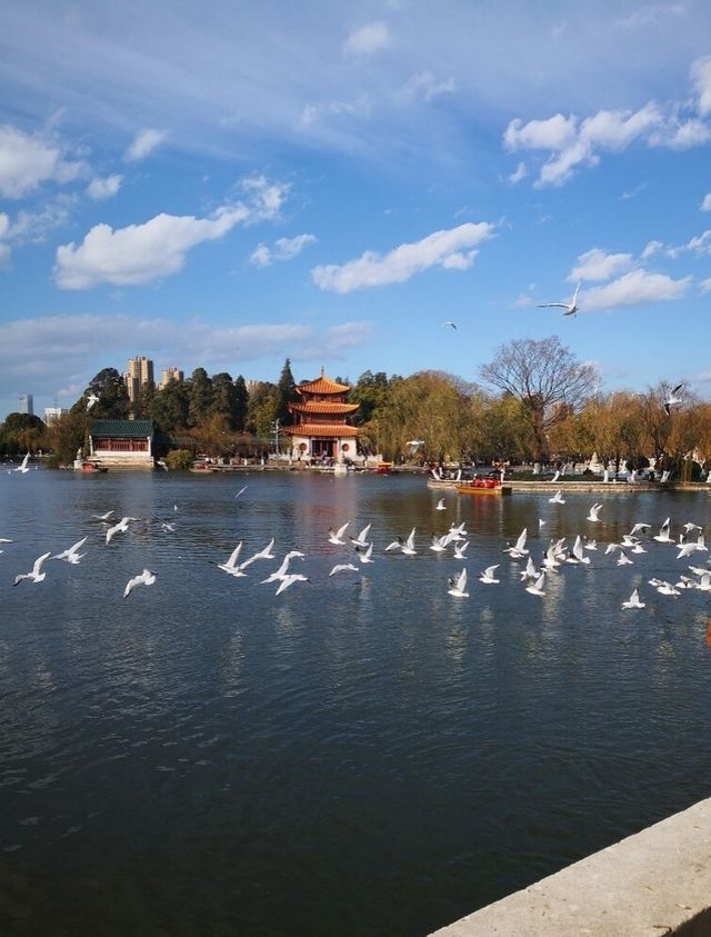 昆明必逛的名樓勝景——大觀樓