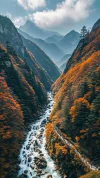 光霧山進入紅葉最佳觀賞期