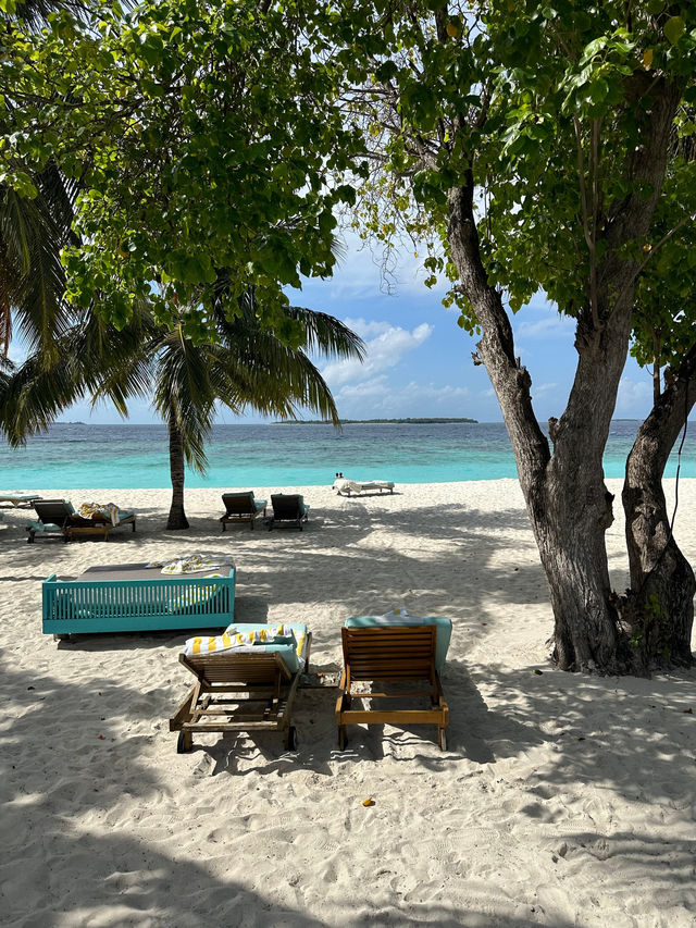 A Memorable Family Vacation A Memorable Family Vacation