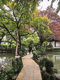 曲水園的菊花展已經幫你們看過了