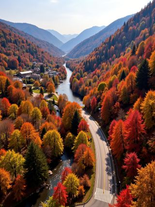 Hidden Autumn Treasure in Northern Sichuan! Not a Penny Spent