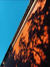 北京絕美打卡地太廟遇上藍天美到窒息