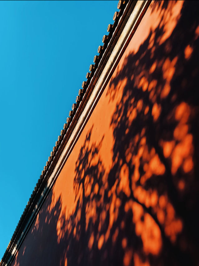 北京絕美打卡地太廟遇上藍天美到窒息