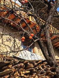 傈僳族古寨的千年密碼與秘境指南