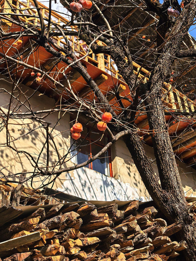 傈僳族古寨的千年密碼與秘境指南 傈僳族古寨的千年密碼與秘境指南