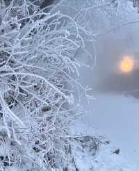 廬山冬日情書：牯嶺街的雪是童話濾鏡吧！