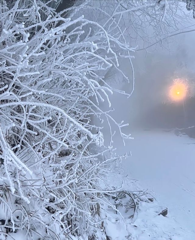 廬山冬日情書：牯嶺街的雪是童話濾鏡吧！